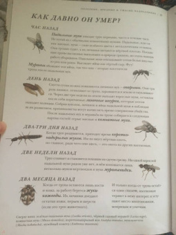 Барт Россел: Поразительные насекомые. Книга про подземных математиков, мастеров блефа, дружных кочевников, зомби