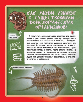 Дмитрий Туровец: Где? Когда? Как?