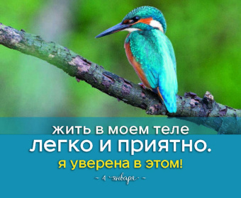 Луиза Хей: Я все могу! 365 установок, которые изменят вашу жизнь к лучшему