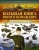 Мерников, Проказов, Ликсо: Большая книга юного командира