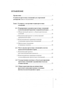 Дамир Салихов: Протестные отношения в конституционном праве