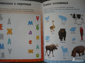 Алфавит. Развивающая книжка с наклейками