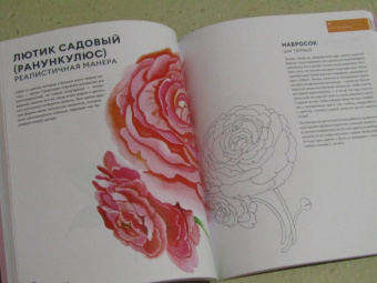 Дженна Рейни: Ни дня без акварели. Цветы. Пошаговое руководство по рисованию соцветий, листьев и стеблей