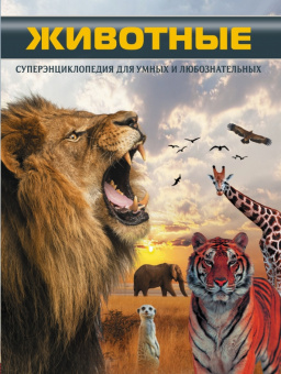 Дарья Ермакович: Животные