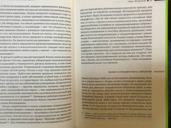 Майкл Газзанига: Кто за главного?