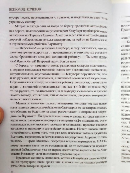 Всеволод Кочетов: Чего же ты хочешь?