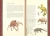 Дэниел Уоллес: Книга Ситхов и Путь Джедая. Полное руководство по управлению Силой (комплект в коробе)