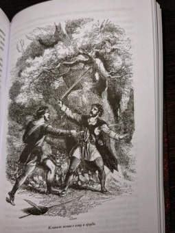 Александр Дюма: Робин Гуд