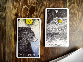 Ким Кранс: The Wild Unknown Animal Spirit. Дикое Неизвестное тотемное животное. Колода-оракул (63 карты и рук.)