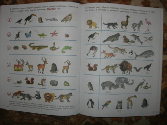 Наташа Буцик: Думай и играй