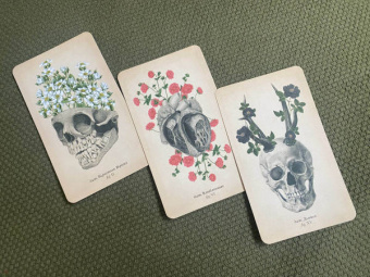 Клэр Гудчайлд: Antique Anatomy Tarot. Таро античной анатомии