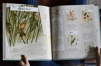 Федерика Магрин: Волшебный мир фей. Вместе с феями изучаем природу, печём кекс, мастерим подарки