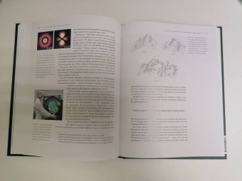 Кип Торн: Интерстеллар. Наука за кадром