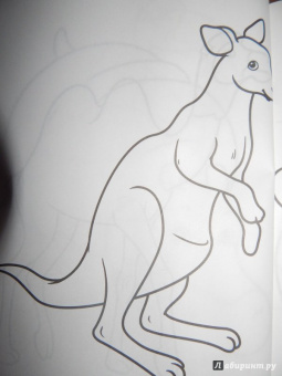 Большая раскраска "Животные"