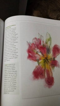 Ханс-Кристиан Санладерер: Цветочный скетчинг. Как создавать быстрые зарисовки цветов и растений