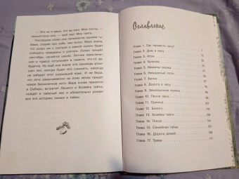 Екатерина Шелеметьева: Таёжная сказка