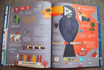 Пинтос, Ианнуззи: Как спит пчела? Удивительные факты о животных и их суперспособностях