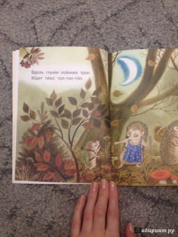 Маршак, Остер, Сутеев: Сказки под подушку