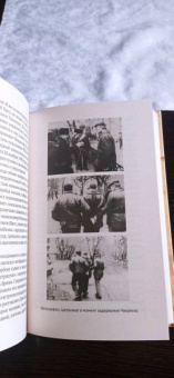 Николай Модестов: Серийные убийцы. Кровавые хроники российских маньяков