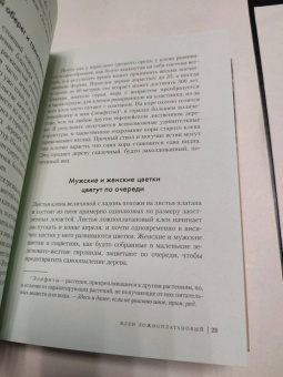 Андреас Хазе: Деревья. Как жизни человека и дерева переплетены друг с другом