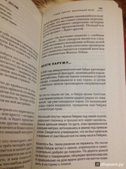 Андрей Курпатов: Чертоги разума. Убей в себе идиота!