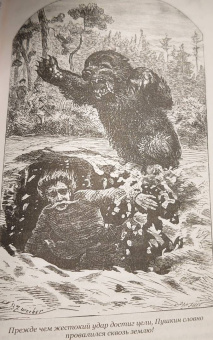 Рид Майн: Письмо и пуля