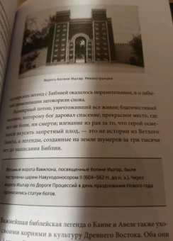 Юлия Чмеленко: Шумерские мифы. От Всемирного потопа и эпоса о Гильгамеше до бога Энки и птицы Анзуд