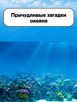 Борис Сергеев: Тайны океана
