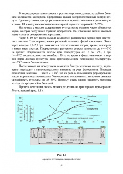 Гуреев, Башкатов: Свекловодство. Учебное пособие для СПО