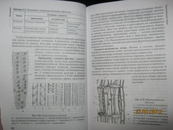 Зайчикова, Барабанов: Ботаника. Учебник