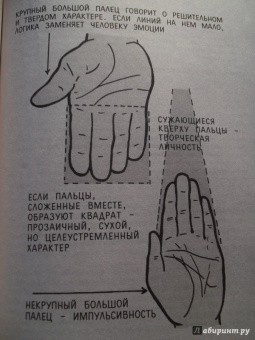 Реймонд Литцка: Гадание по руке