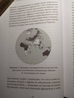 Клайв Финлейсон: Вымершие люди. Почему неандертальцы погибли, а мы — выжили