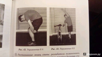 Лисицкая, Голенко: Велоаэробика. Учебно-методическое пособие