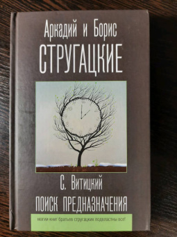 Сергей Витицкий: Поиск предназначения