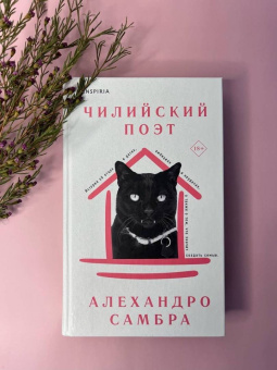 Алехандро Самбра: Чилийский поэт