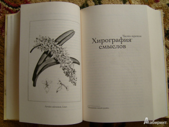 Элизабет Гилберт: Происхождение всех вещей