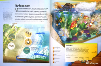 Жизнь в океане