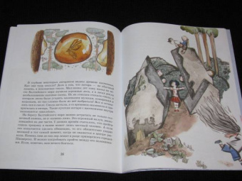 Ольга Велейко: Калининград:  там, где танцует лес