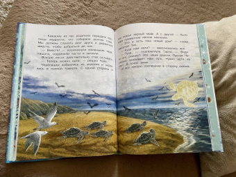 Наталия Немцова: Тайны океана. Сказки для почемучки