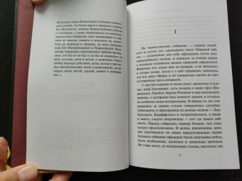 Александр Лернет-Холениа: Штандарт