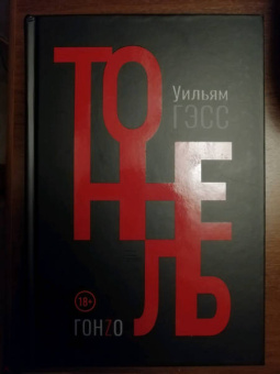 Уильям Гэсс: Тоннель