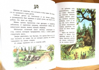 Надежда Надеждина: Как Витя с лесом поссорился