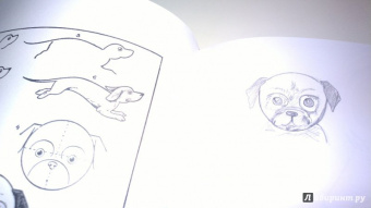 Эдвин Лутц: Что рисовать и как рисовать. Пошаговые техники для тех, кто хочет стать художником за 5 минут