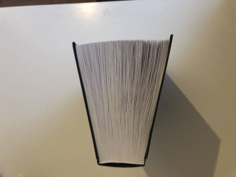 Терри Пратчетт: Стража Плоского Мира