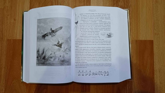 Эрнест Сетон-Томпсон: Рассказы о животных