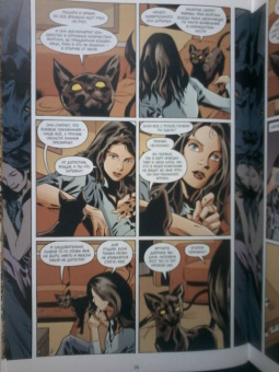 Билл Уиллингхэм: Сказки. Книга 15