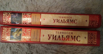 Теннесси Уильямс: Орфей спускается в ад