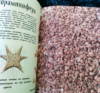 Бен Хоар: Чудеса природы. Энциклопедия