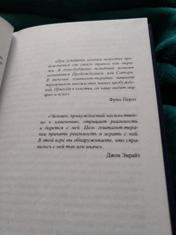 Джон Энрайт: Гештальт, ведущий к просветлению, или Пробуждение от кошмара
