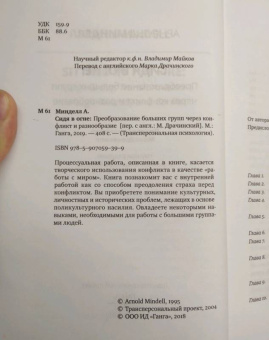 Арнольд Минделл: Сидя в огне. Преобраз больших групп через конфликт и разнообразие